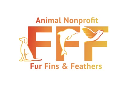 Fur Fins and Feathers
